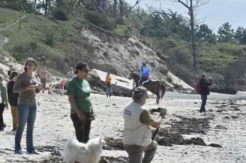 WEG-EnduranceRace-8-28-14-0003719-DDeRosaPhoto