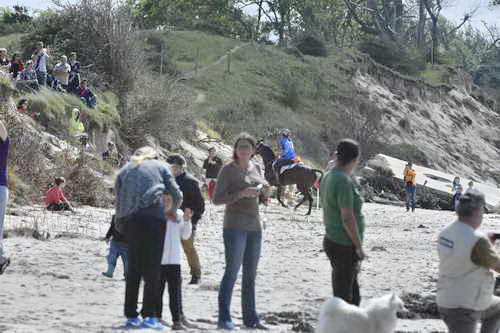 WEG-EnduranceRace-8-28-14-0003720-DDeRosaPhoto