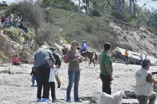 WEG-EnduranceRace-8-28-14-0003721-DDeRosaPhoto