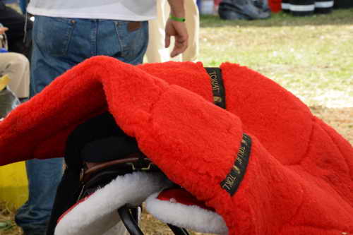 WEG2-Endurance-8-28-14-6503-DDeRosaPhoto