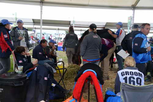 WEG2-Endurance-8-28-14-6706-DDeRosaPhoto