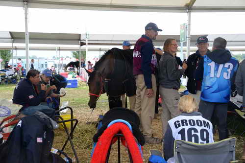 WEG2-Endurance-8-28-14-6724-DDeRosaPhoto