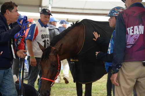 WEG2-Endurance-8-28-14-6755-DDeRosaPhoto