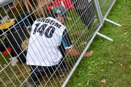 WEG2-Endurance-8-28-14-6790-DDeRosaPhoto