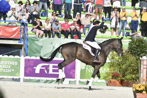 WEG-EventingSJ-8-31-14-0003088-DDeRosaPhoto