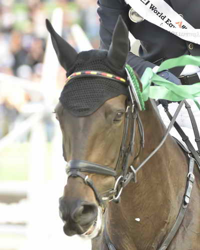WEG-EventingSJ-8-31-14-0003105-DDeRosaPhoto
