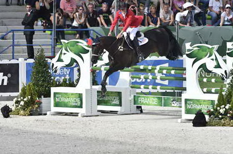 WEG-EventingSJ-8-31-14-0002697-BoydMartin-Shamwari4-USA-DDeRosaPhoto