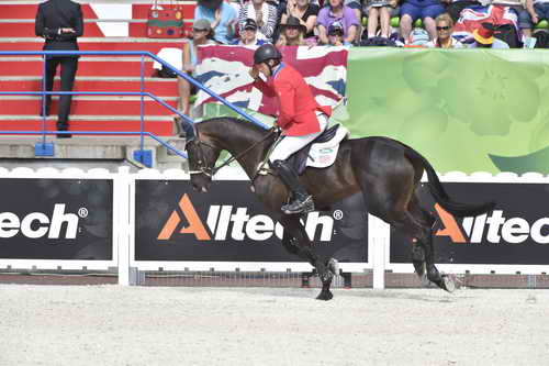 WEG-EventingSJ-8-31-14-0002710-BoydMartin-Shamwari4-USA-DDeRosaPhoto