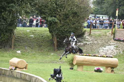WEG1-Eventing-8-30-14-0009565-BoydMartin-Shamwari4-USA-DDeRosaPhoto