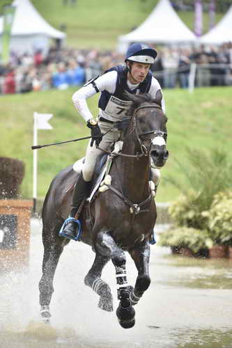 WEG1-Eventing-8-30-14-0009586-BoydMartin-Shamwari4-USA-DDeRosaPhoto