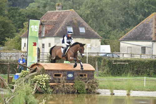 WEG1-Eventing-8-30-14-0006968-BuckDavidsonJr-BallynoeCastleRM-USA-osaPhoto