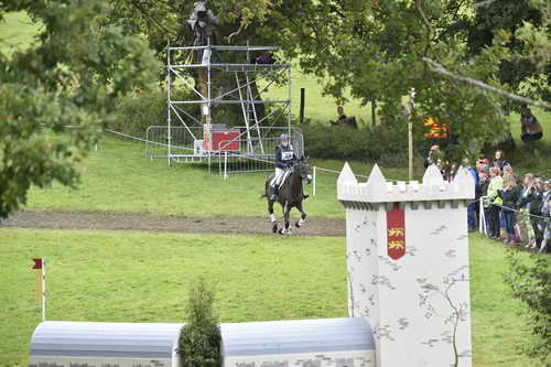 WEG1-Eventing-8-30-14-0008815-KimberlySeverson-FernhillFearless-USA-DDeRosaPhoto