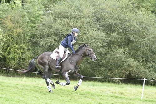 WEG1-Eventing-8-30-14-0008858-KimberlySeverson-FernhillFearless-USA-DDeRosaPhoto