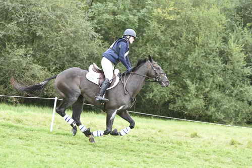 WEG1-Eventing-8-30-14-0008860-KimberlySeverson-FernhillFearless-USA-DDeRosaPhoto