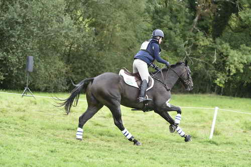 WEG1-Eventing-8-30-14-0008863-KimberlySeverson-FernhillFearless-USA-DDeRosaPhoto