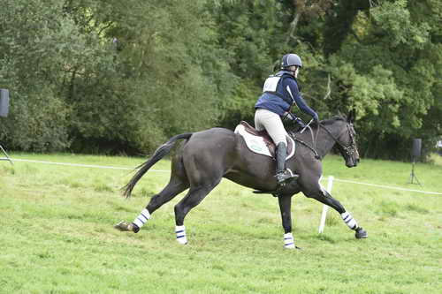 WEG1-Eventing-8-30-14-0008864-KimberlySeverson-FernhillFearless-USA-DDeRosaPhoto
