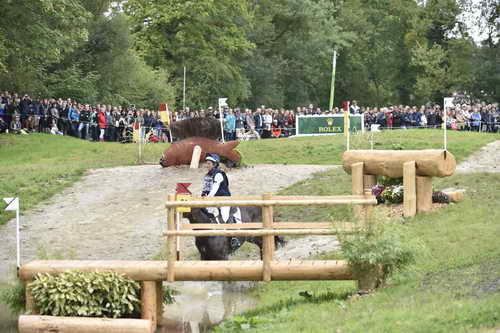 WEG1-Eventing-8-30-14-0009053-LynnSymansky-Donner-USA-DDeRosaPhoto