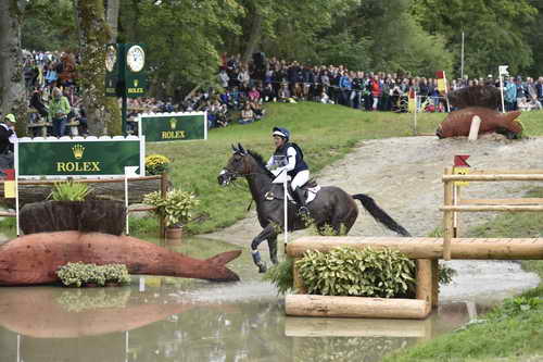 WEG1-Eventing-8-30-14-0009055-LynnSymansky-Donner-USA-DDeRosaPhoto