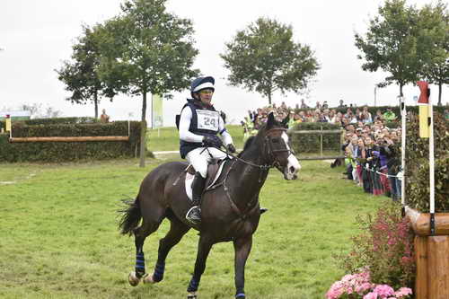 WEG1-Eventing-8-30-14-0008123-PhillipDutton-TradingAces-USA-DDeRosaPhoto