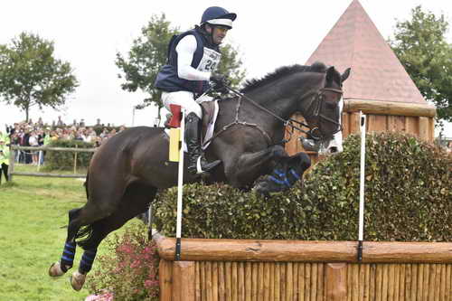 WEG1-Eventing-8-30-14-0008126-PhillipDutton-TradingAces-USA-DDeRosaPhoto