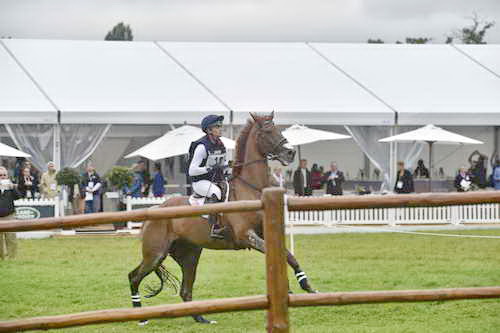 WEG1-Eventing-8-30-14-0007879-SineadHalpin-ManoirDeCarneville-USA-DDeRosaPhoto