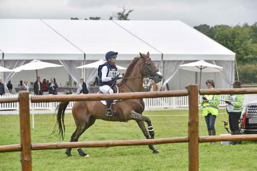 WEG1-Eventing-8-30-14-0007880-SineadHalpin-ManoirDeCarneville-USA-DDeRosaPhoto