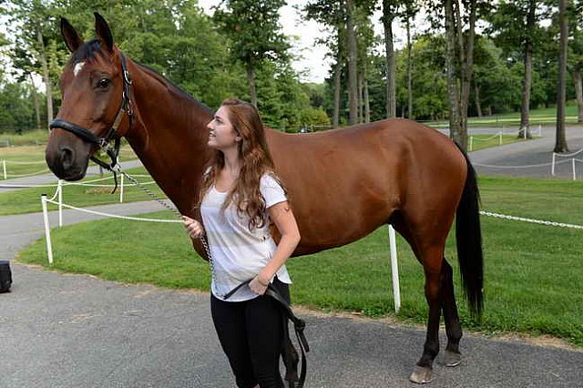 WEG-Para-8-10-14-3825-AngelaPeavy-DDeRosaPhoto