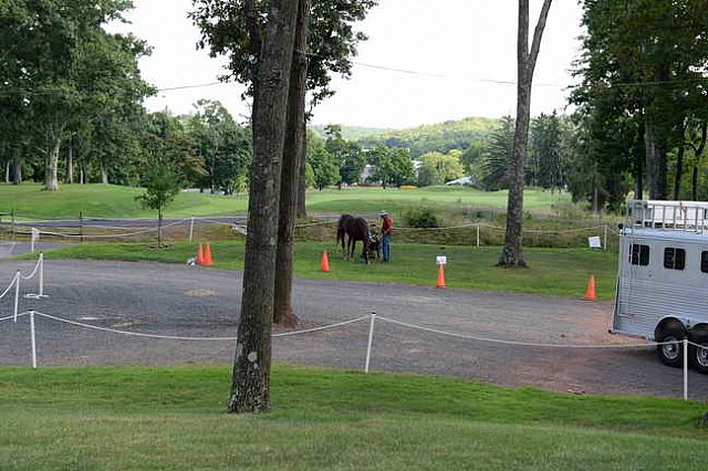 WEG-Para-8-10-14-3788-RoxanneTrunnell-DDeRosaPhoto