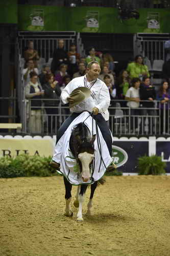 WEG-Reining-8-30-14-0001215-DDeRosaPhoto