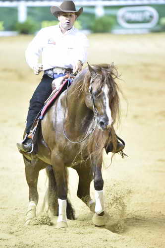 WEG-Reining-8-30-14-0000887-AndreaFappani-CustomCashAdvance-USA-DDeRosaPhoto