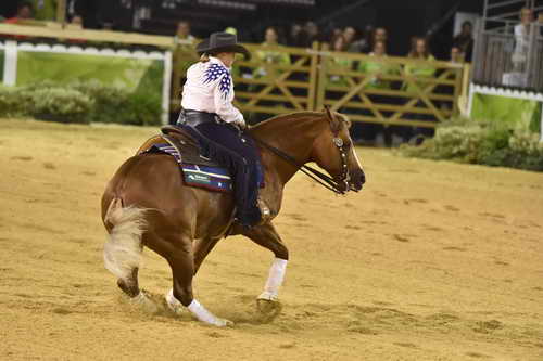 WEG-Reining-8-30-14-0000653-MandyMcCutcheon-YellowJersey-USA-DDeRosaPhoto