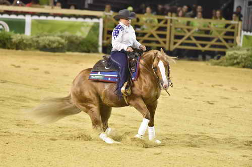 WEG-Reining-8-30-14-0000657-MandyMcCutcheon-YellowJersey-USA-DDeRosaPhoto
