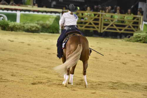 WEG-Reining-8-30-14-0000659-MandyMcCutcheon-YellowJersey-USA-DDeRosaPhoto
