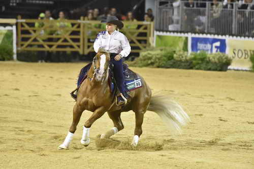 WEG-Reining-8-30-14-0000661-MandyMcCutcheon-YellowJersey-USA-DDeRosaPhoto