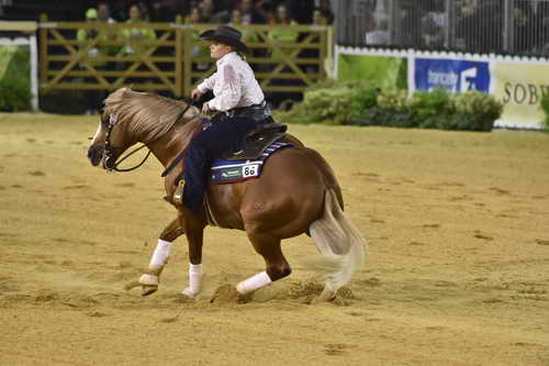 WEG-Reining-8-30-14-0000670-MandyMcCutcheon-YellowJersey-USA-DDeRosaPhoto