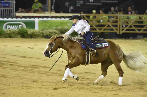 WEG-Reining-8-30-14-0000677-MandyMcCutcheon-YellowJersey-USA-DDeRosaPhoto