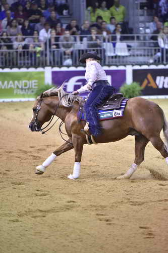 WEG-Reining-8-30-14-0000696-MandyMcCutcheon-YellowJersey-USA-DDeRosaPhoto