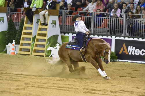 WEG-Reining-8-30-14-0000699-MandyMcCutcheon-YellowJersey-USA-DDeRosaPhoto
