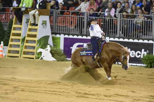 WEG-Reining-8-30-14-0000700-MandyMcCutcheon-YellowJersey-USA-DDeRosaPhoto