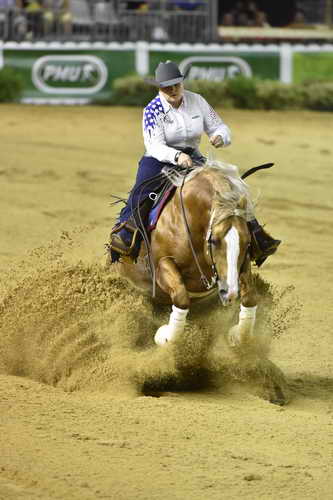 WEG-Reining-8-30-14-0000707-MandyMcCutcheon-YellowJersey-USA-DDeRosaPhoto