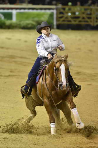 WEG-Reining-8-30-14-0000709-MandyMcCutcheon-YellowJersey-USA-DDeRosaPhoto
