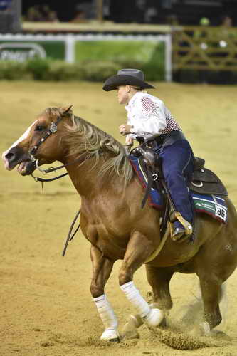 WEG-Reining-8-30-14-0000711-MandyMcCutcheon-YellowJersey-USA-DDeRosaPhoto