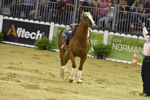 WEG-Reining-8-30-14-0000732-MandyMcCutcheon-YellowJersey-USA-DDeRosaPhoto