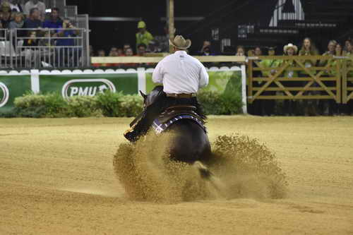 WEG-Reining-8-30-14-0000908ShawnFlarida-SpooksGottaWhiz-USA-DDeRosaPhoto