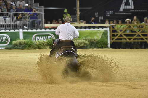 WEG-Reining-8-30-14-0000910ShawnFlarida-SpooksGottaWhiz-USA-DDeRosaPhoto