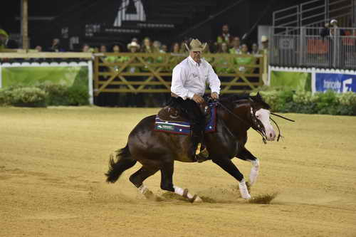 WEG-Reining-8-30-14-0000914ShawnFlarida-SpooksGottaWhiz-USA-DDeRosaPhoto