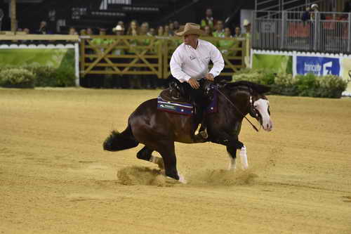 WEG-Reining-8-30-14-0000917ShawnFlarida-SpooksGottaWhiz-USA-DDeRosaPhoto