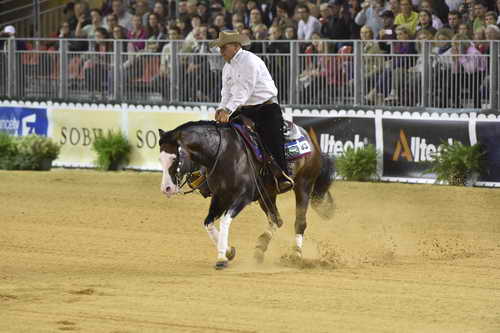 WEG-Reining-8-30-14-0000940ShawnFlarida-SpooksGottaWhiz-USA-DDeRosaPhoto