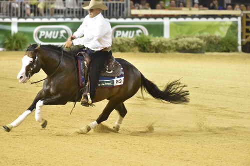 WEG-Reining-8-30-14-0000949ShawnFlarida-SpooksGottaWhiz-USA-DDeRosaPhoto