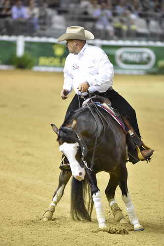 WEG-Reining-8-30-14-0000970ShawnFlarida-SpooksGottaWhiz-USA-DDeRosaPhoto